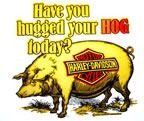 harley davidson have you hugged your hog today? motorcycle vintage t-shirt iron-on 1970's